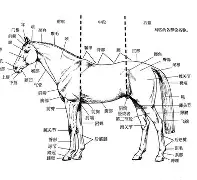 TheShy第五杆结果意外(theshy比赛精彩操作集锦) TheShy第五杆结果意外(theshy比赛精彩操作集锦)